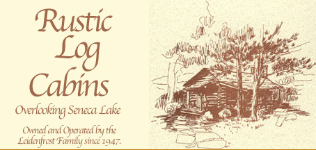 Rustic Log Cabins Hector Ny Seneca Lake Finger Lakes